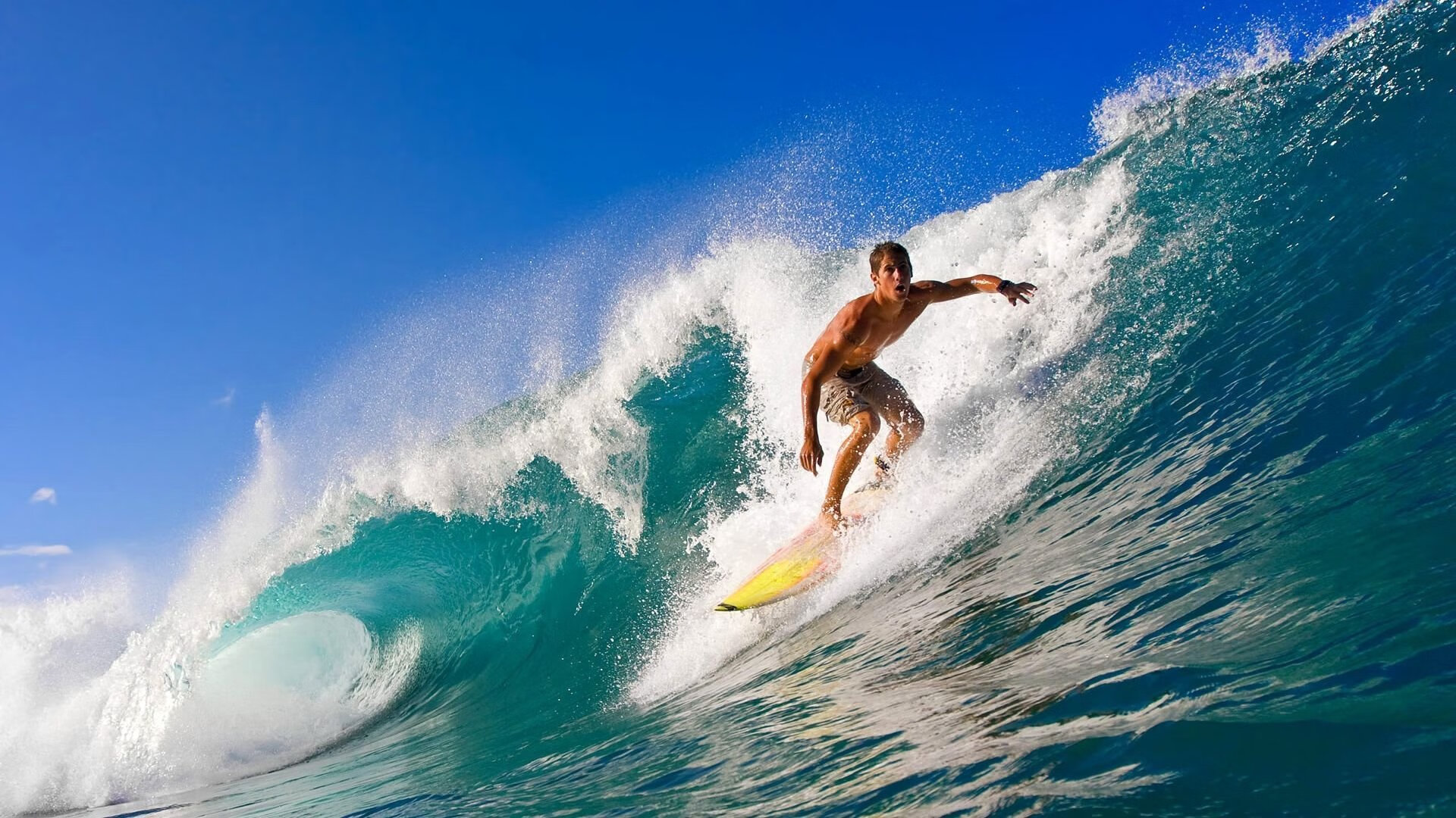 青少年体育产业发展报告发布强调可持续建设，青少年体育改革